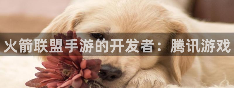 正规糖果派对：火箭联盟手游的开发者：腾讯游戏