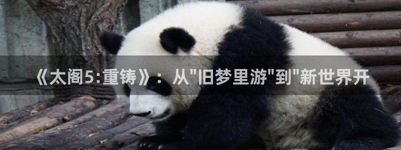 糖果派对网址是什么：《太阁5:重铸》：从\
