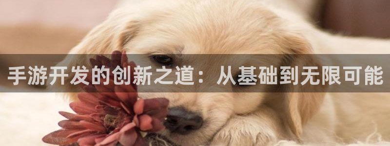 哪里能下载糖果派对：手游开发的创新之道：从基础到无限可能