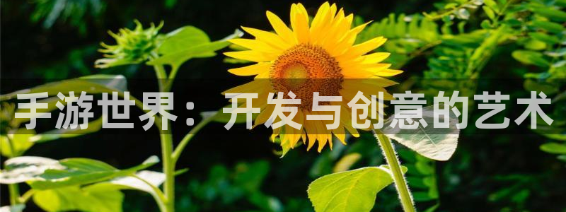 糖果派对糖果：手游世界：开发与创意的艺术