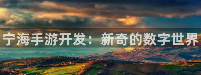 糖果派对价格表：宁海手游开发：新奇的数字世界