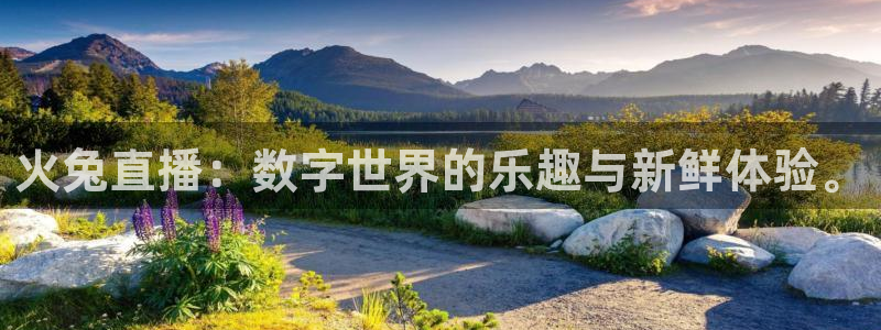 新闻图片