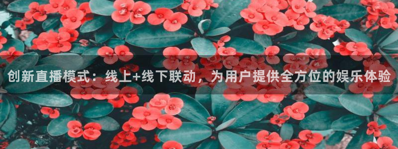 51视频在线直播nba：创新直播模式：线上+线下联动，为用户提供全方位的娱乐体验