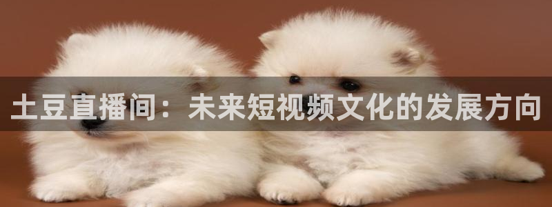 51视频在线直播nba：土豆直播间：未来短视频文化的发展方向