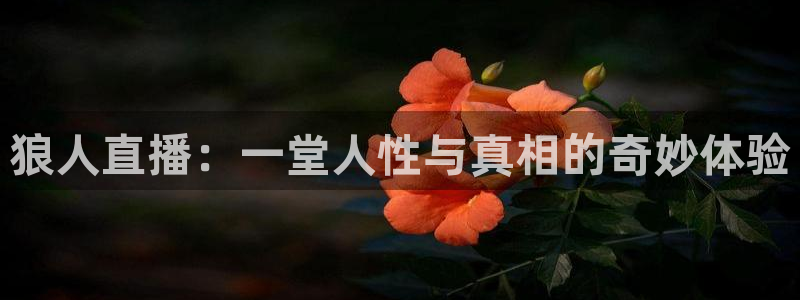 新闻图片