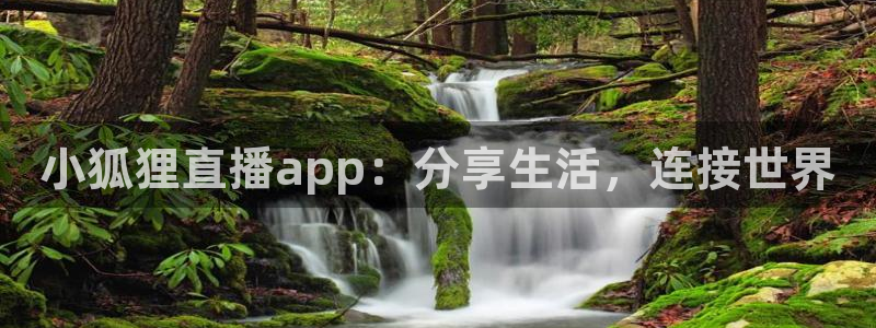 51视频在线直播nba：小狐狸直播app：分享生活，连接世界