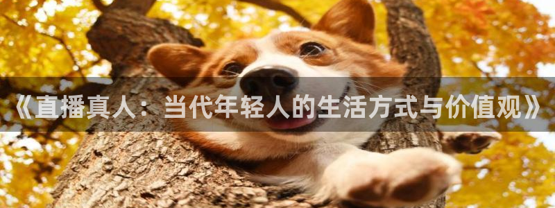 51视频在线直播nba：《直播真人：当代年轻人的生活方式与价值观》